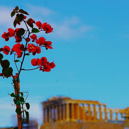 الشقق الفندقية Absolute Athens Acropolis View المظهر الخارجي الصورة