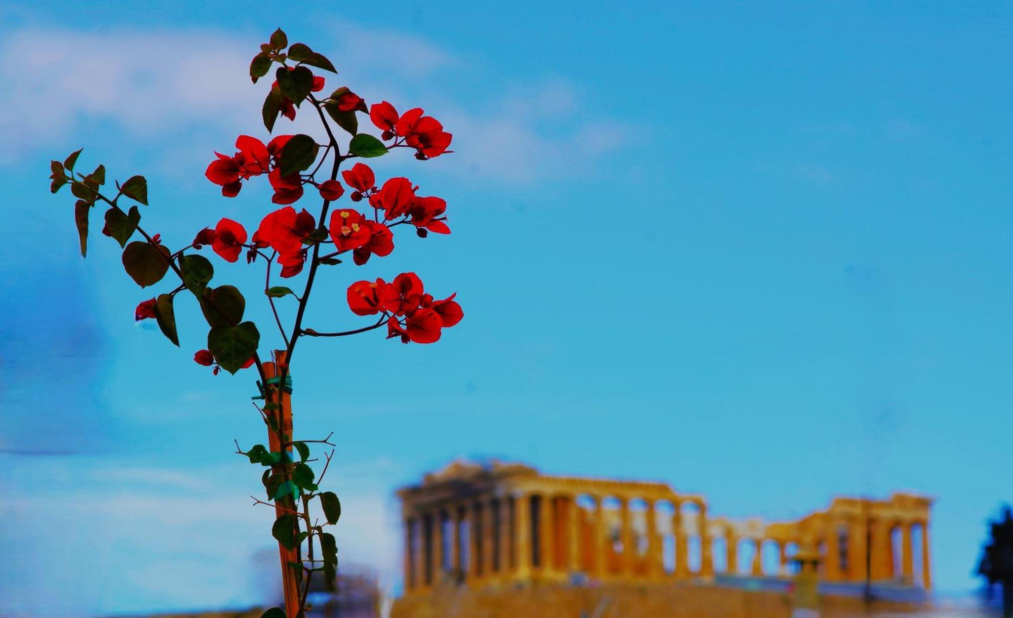 الشقق الفندقية Absolute Athens Acropolis View المظهر الخارجي الصورة