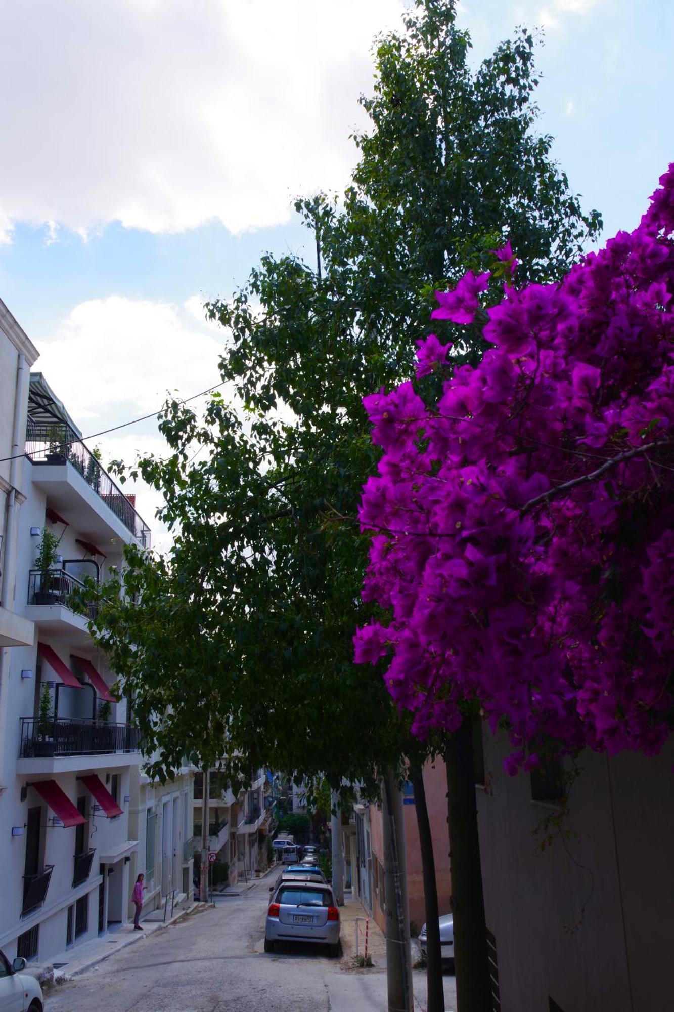 الشقق الفندقية Absolute Athens Acropolis View المظهر الخارجي الصورة